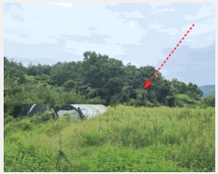  2025Ÿ��503292 ����Ư����ġ�� ������ �ַ��� 94-23       ����(�Ӿ�)���