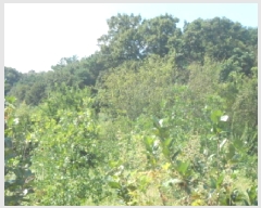  2025Ÿ��503292 ����Ư����ġ�� ������ �ַ��� 94-23       ����(�Ӿ�)���