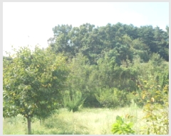  2025Ÿ��503292 ����Ư����ġ�� ������ �ַ��� 94-23       ����(�Ӿ�)���