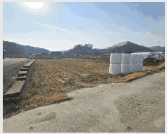  2025Ÿ��503993 ����Ư����ġ�� ����� ���긮 113-2       ����(��)���