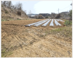  2025Ÿ2279 Ưġ  ϸ 120-2       (1)