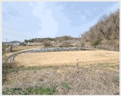  2025Ÿ2279 Ưġ  ϸ 120-2       (1)