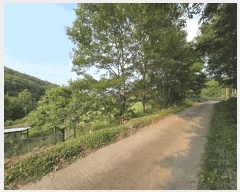  2025Ÿ��3539 ���� ���� ��浿 71       ����(��1)���