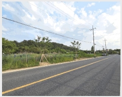  2025Ÿ��3539 ���� ���� ��浿 71       ����(��1)���