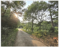  2025Ÿ��3539 ���� ���� ��浿 71       ����(��1)���