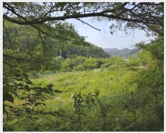  2025Ÿ��3539 ���� ���� ��浿 71       ����(��1)���