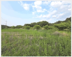  2025Ÿ��3539 ���� ���� ��浿 71       ����(��1)���