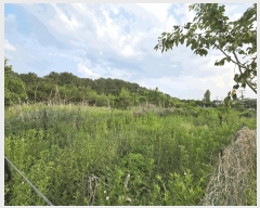  2025Ÿ��3539 ���� ���� ��浿 71       ����(��1)���