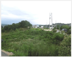  2025Ÿ��3597 ����Ư����ġ�� �屺�� ���ȸ� 216-7       ����(�Ӿ�)���