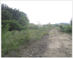  2025Ÿ��3597 ����Ư����ġ�� �屺�� ���ȸ� 216-7       ����(�Ӿ�)���