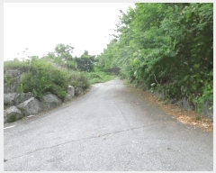  2025Ÿ��3597 ����Ư����ġ�� �屺�� ���ȸ� 216-7       ����(�Ӿ�)���