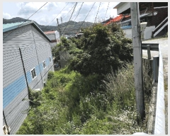  2025Ÿ��3608 ����Ư����ġ�� �ΰ��� ��� 406-1       ������