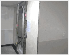  2025Ÿ3622    880 ŸƮ6 606 2204ȣ    Ʈ