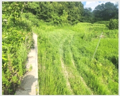  2025Ÿ��3765  �Ӿ߰��