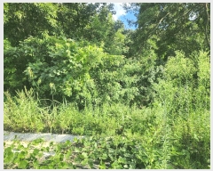  2025Ÿ��3765  �Ӿ߰��