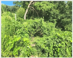  2025Ÿ��3765  �Ӿ߰��