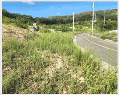  2025Ÿ��3765  �Ӿ߰��