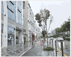  2025Ÿ��3817  �ٸ��󰡰��