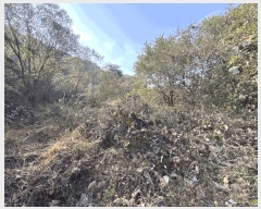  2025Ÿ��3922 �泲 �ݻ걺 ������ ��Ҹ� 433-4      ����(�Ӿ�)���