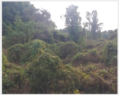  2025Ÿ��3922 �泲 �ݻ걺 ������ ��Ҹ� 433-4      ����(�Ӿ�)���