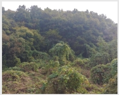  2025Ÿ��3922 �泲 �ݻ걺 ������ ��Ҹ� 433-4      ����(�Ӿ�)���