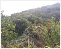  2025Ÿ��3922 �泲 �ݻ걺 ������ ��Ҹ� 433-4      ����(�Ӿ�)���