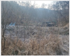  2025Ÿ500629   浿 223       ()