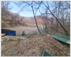  2025Ÿ500629   浿 223       ()