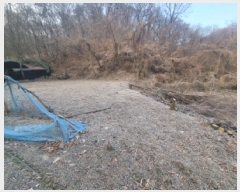  2025Ÿ500629   浿 223       ()