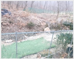  2025Ÿ500629   浿 223       ()