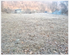  2025Ÿ500629   浿 223       ()