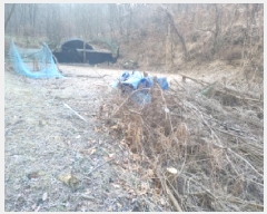  2025Ÿ500629   浿 223       ()