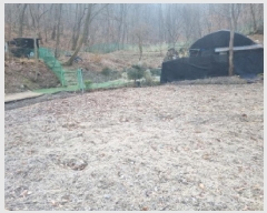  2025Ÿ500629   浿 223       ()