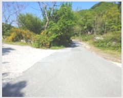  2025Ÿ��502259 �泲 �ݻ걺 ������ �Ŵ븮 68-23      ����(�Ӿ�)���