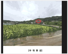  2025Ÿ��502725 ����Ư����ġ�� ������ �ַ��� 98       ����(����)���