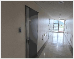  2025Ÿ502817 Ưġ  649 ȣǾħ 141431ȣ      ǽڰ