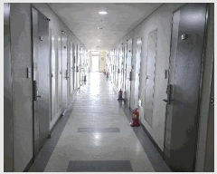  2025Ÿ502869 Ưġ  255-21, 151562ȣ (, ǪƼ2)     ǽڰ