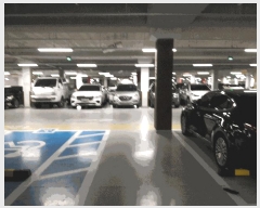  2025Ÿ��502970 ����Ư����ġ�� ������ 1189 �����縶��3���� 304�� 6��602ȣ     ����Ʈ���