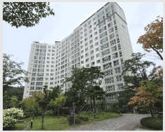  2025Ÿ��503067 ����Ư����ġ�� ��� 1408 ��������9���� 901�� 5��501ȣ     ����Ʈ���