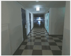  2025Ÿ��503143  ���ǽ��ڰ��