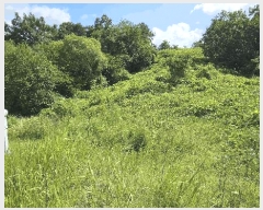  2025Ÿ��503154 �泲 �ݻ걺 �ݼ��� �󰡸� 406-15      ����(��1)���