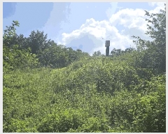  2025Ÿ��503154 �泲 �ݻ걺 �ݼ��� �󰡸� 406-15      ����(��1)���