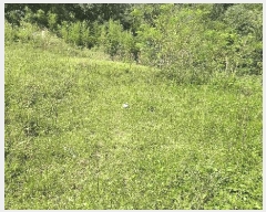  2025Ÿ��503154 �泲 �ݻ걺 �ݼ��� �󰡸� 406-15      ����(��1)���