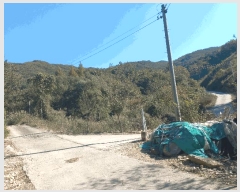  2025Ÿ��503537 �泲 �ݻ걺 �θ��� ���븮 21      ����(��)���