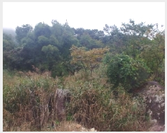  2025Ÿ��503537 �泲 �ݻ걺 �θ��� ���븮 21      ����(��)���