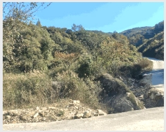  2025Ÿ��503537 �泲 �ݻ걺 �θ��� ���븮 21      ����(��)���