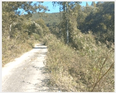  2025Ÿ��503537 �泲 �ݻ걺 �θ��� ���븮 21      ����(��)���