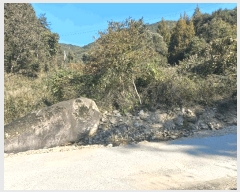  2025Ÿ��503537 �泲 �ݻ걺 �θ��� ���븮 21      ����(��)���