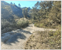  2025Ÿ��503537 �泲 �ݻ걺 �θ��� ���븮 21      ����(��)���