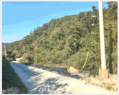  2025Ÿ��503537 �泲 �ݻ걺 �θ��� ���븮 21      ����(��)���